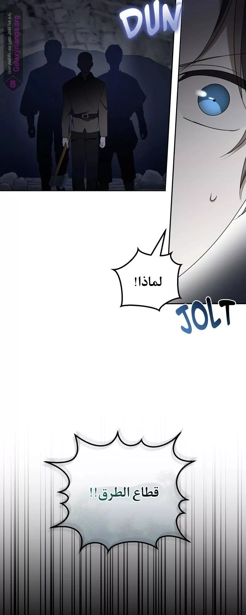 الصفحة 39