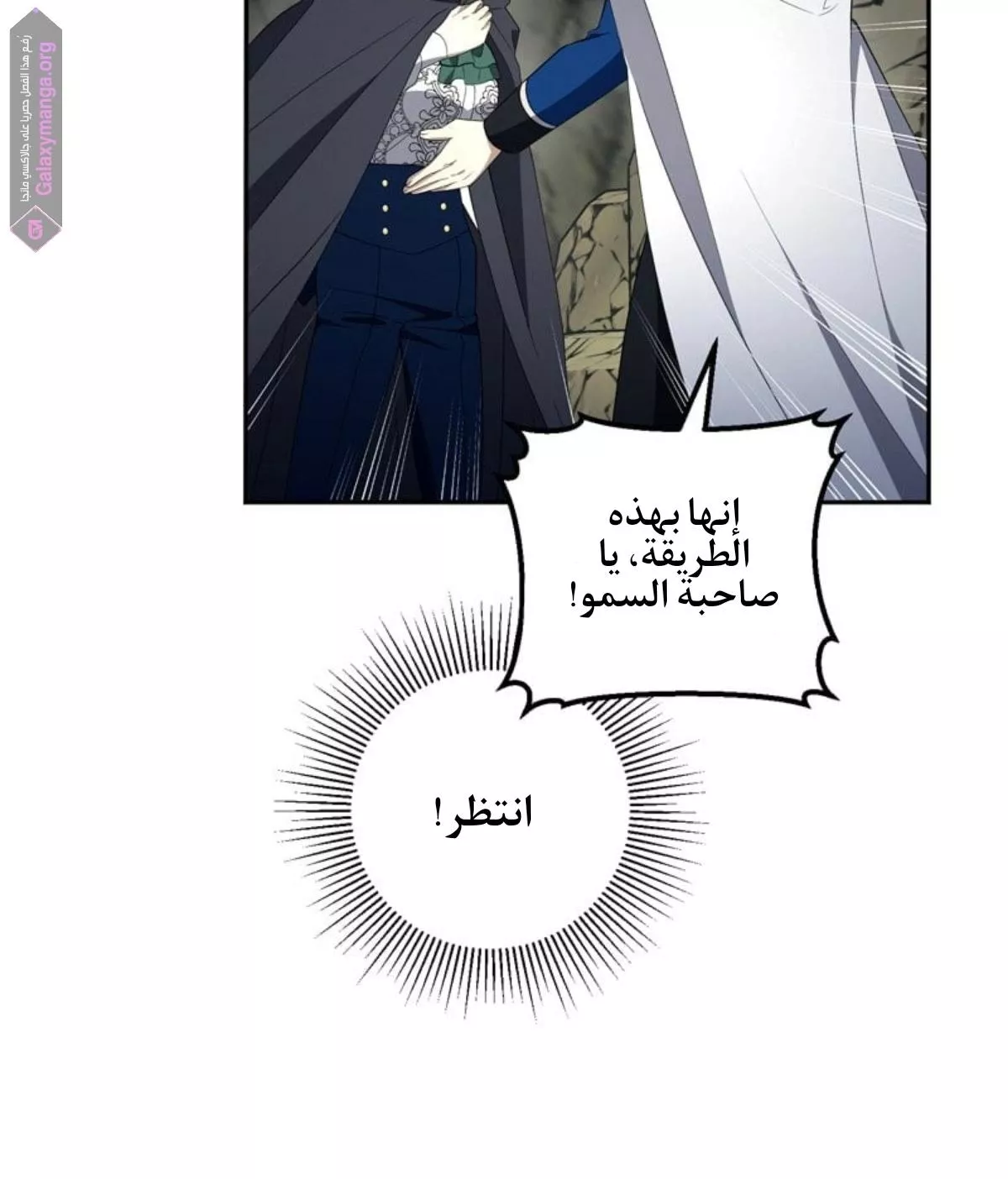 الصفحة 41