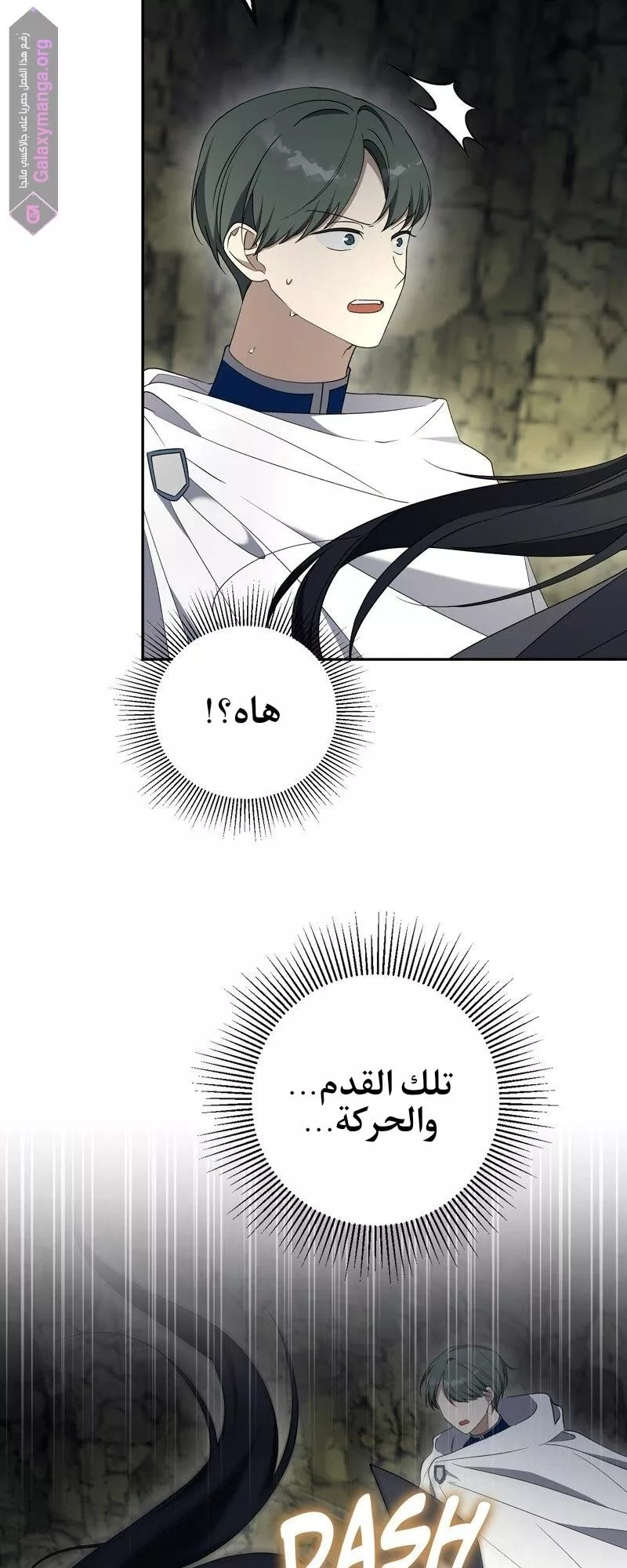 الصفحة 45