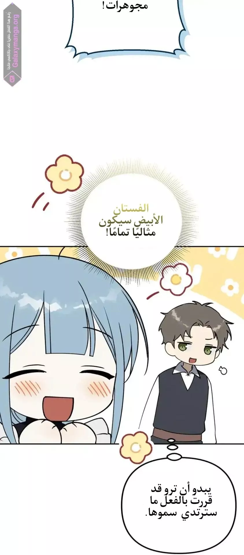 الصفحة 13