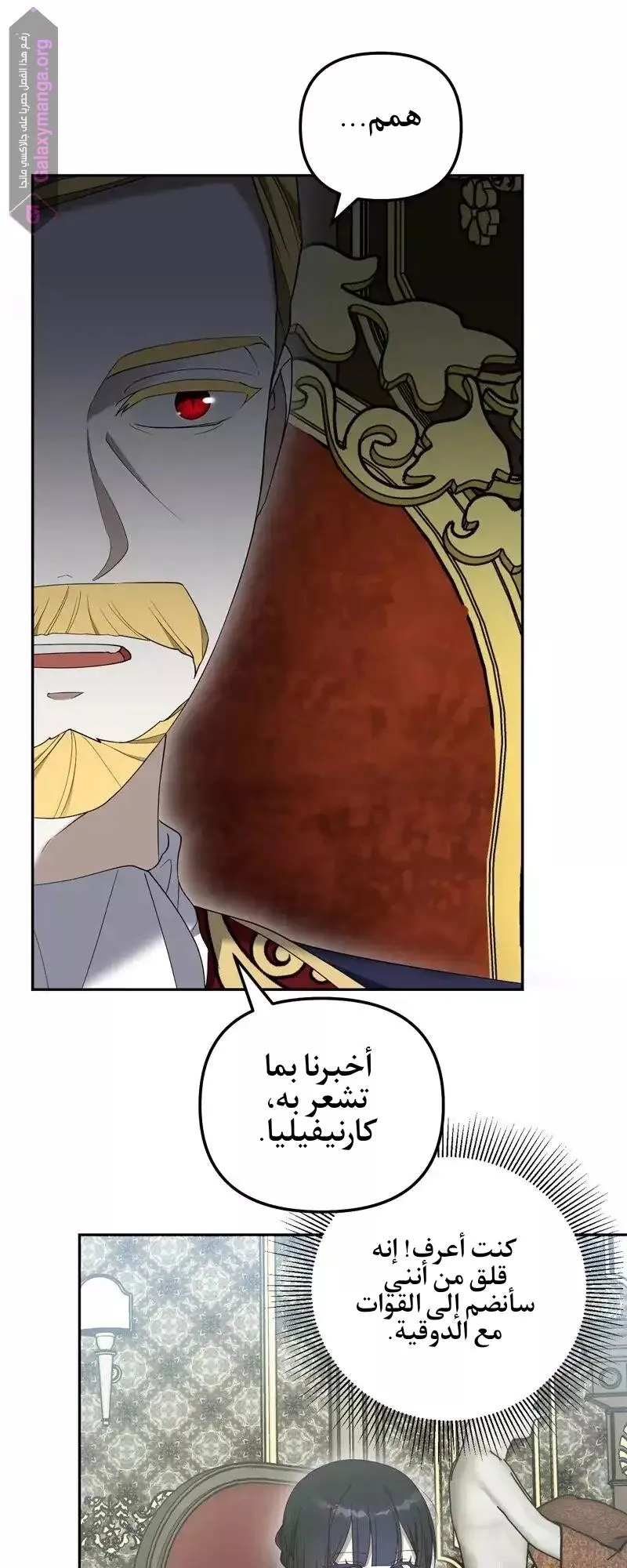 الصفحة 29