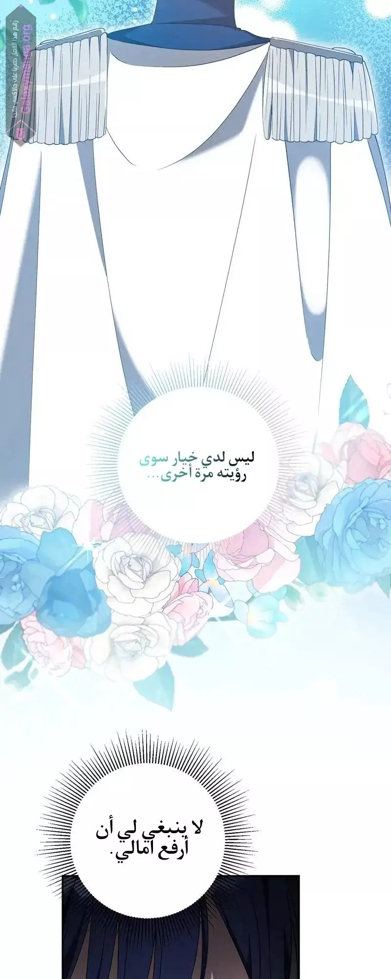الصفحة 48