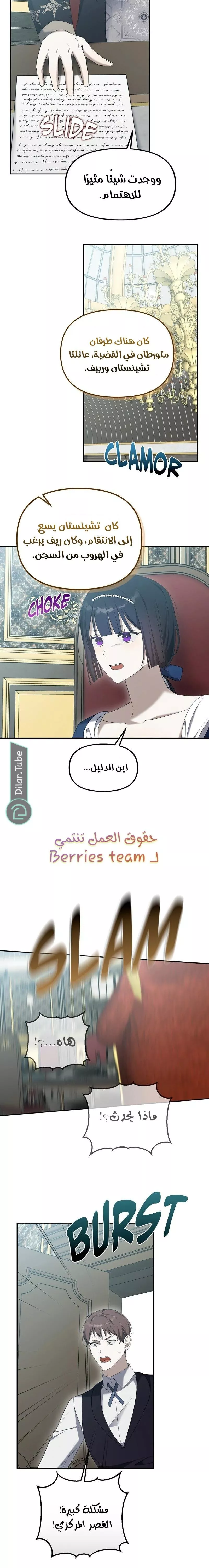 الصفحة 13