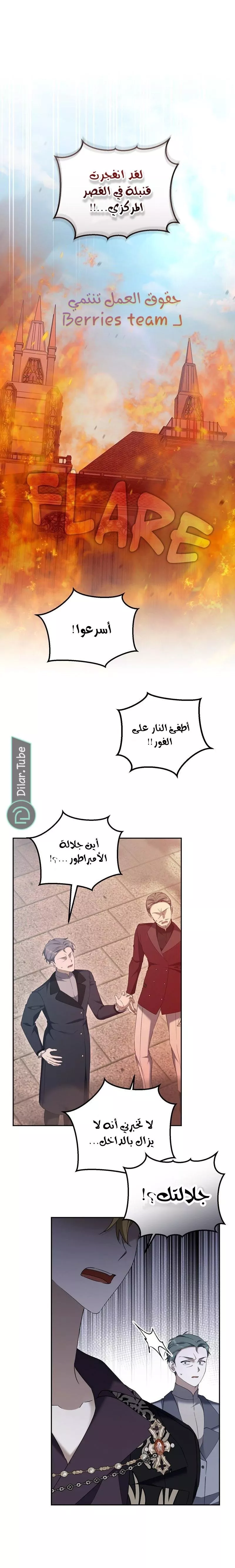 الصفحة 14