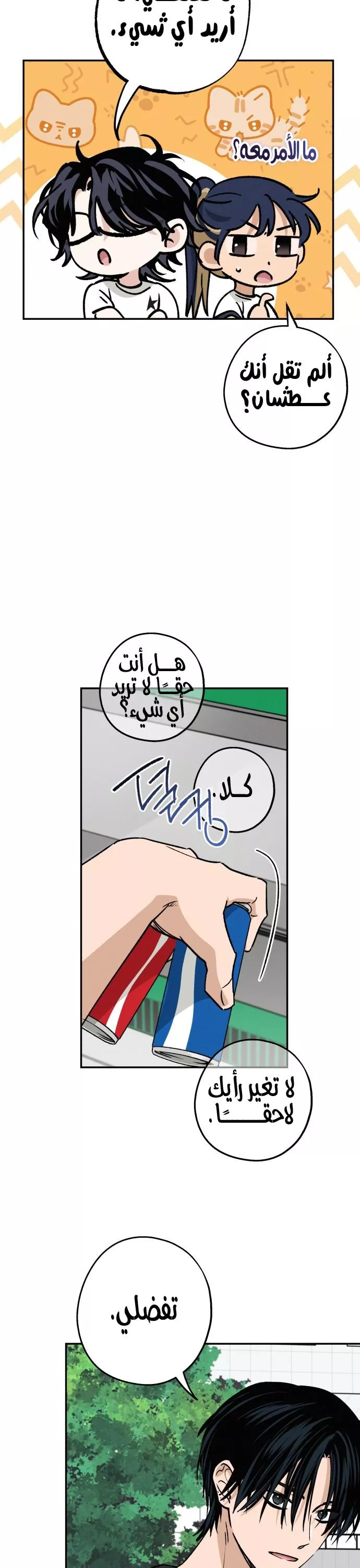 الصفحة 13