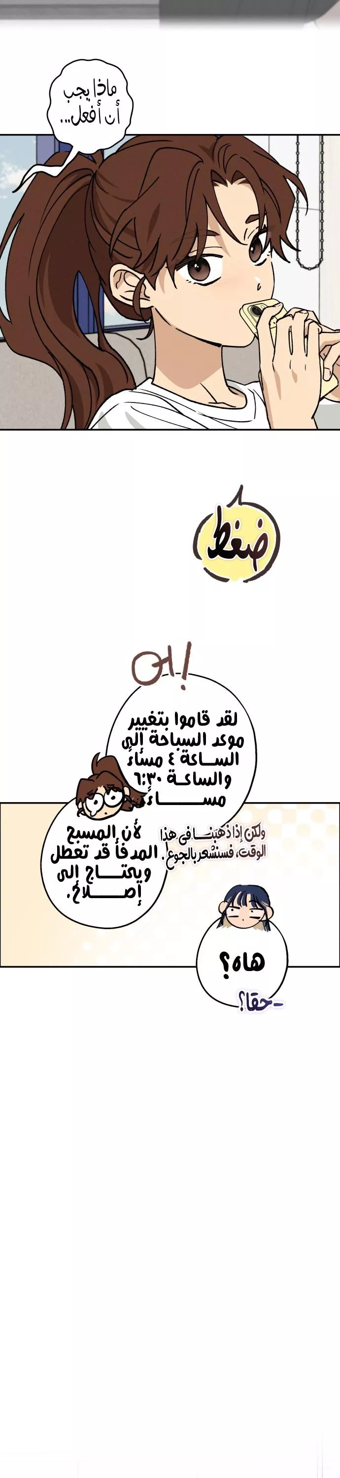 الصفحة 29