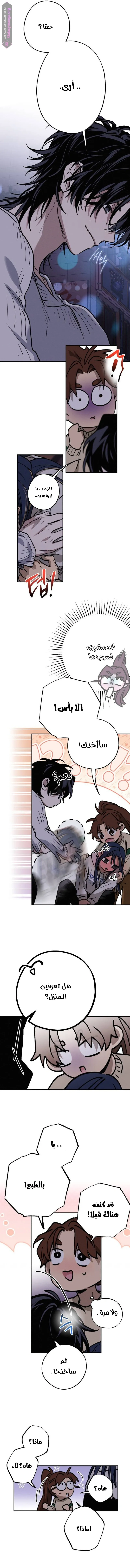 الصفحة 7