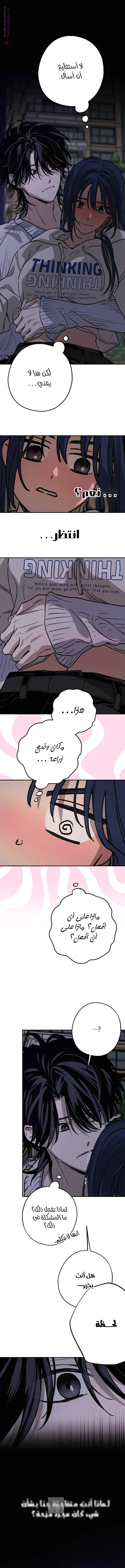 الصفحة 13