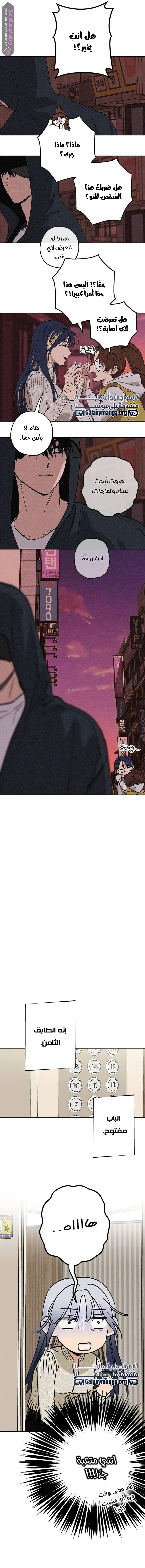 الصفحة 11