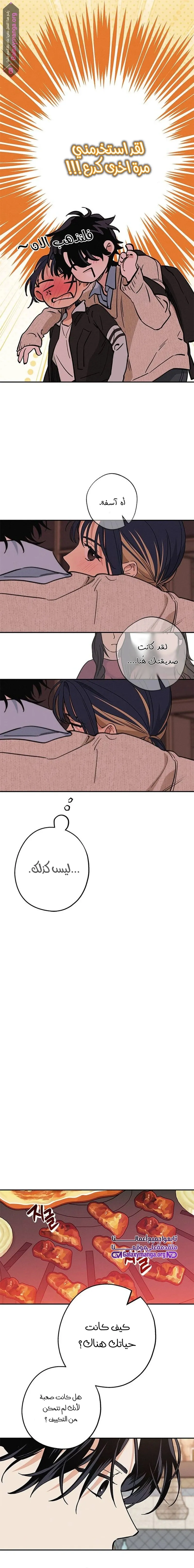 الصفحة 8