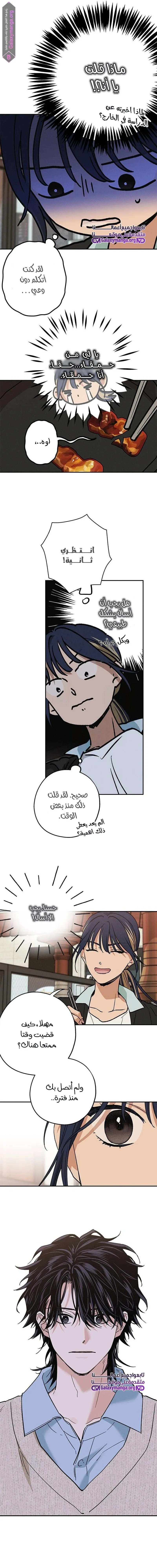 الصفحة 12