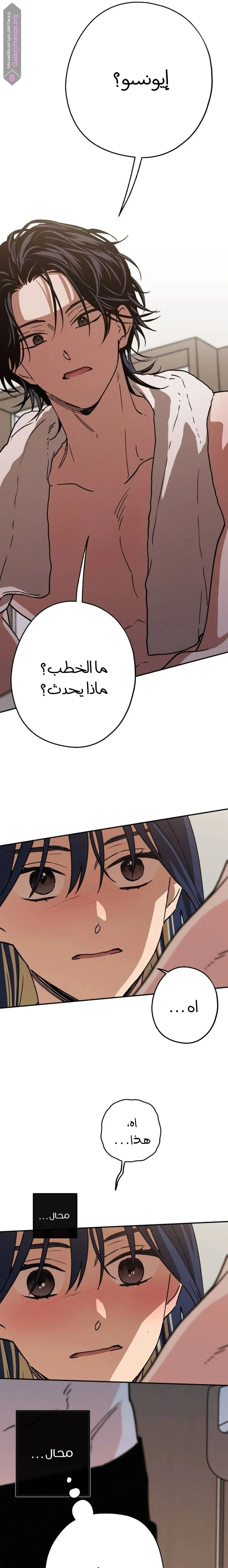 الصفحة 10