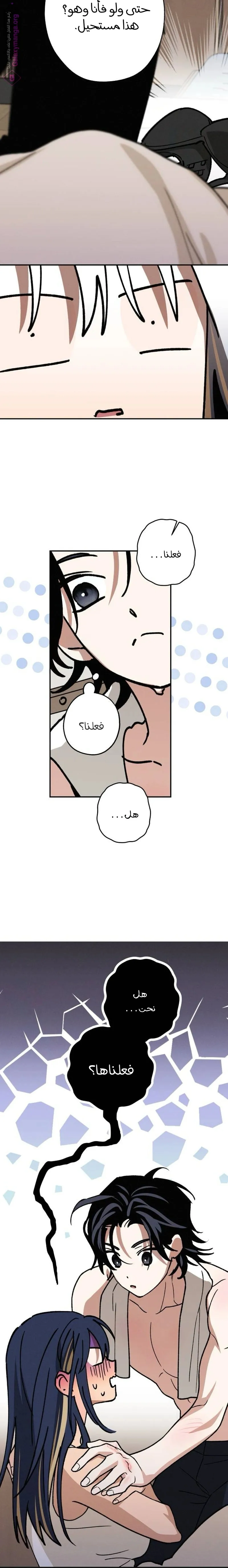 الصفحة 11