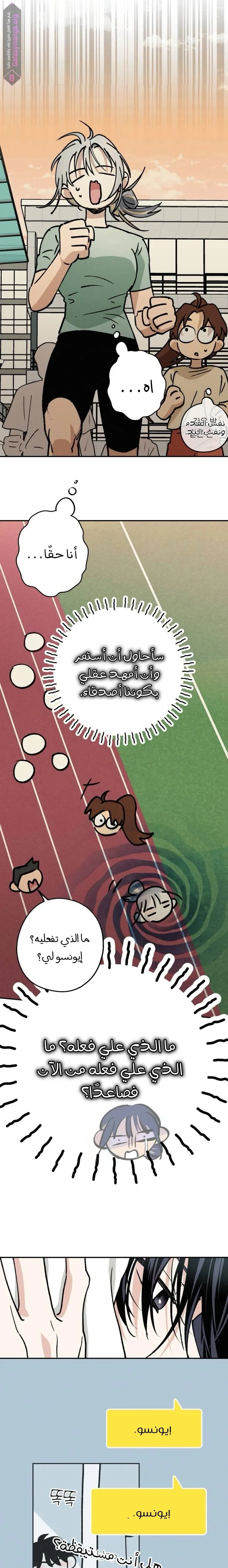 الصفحة 17