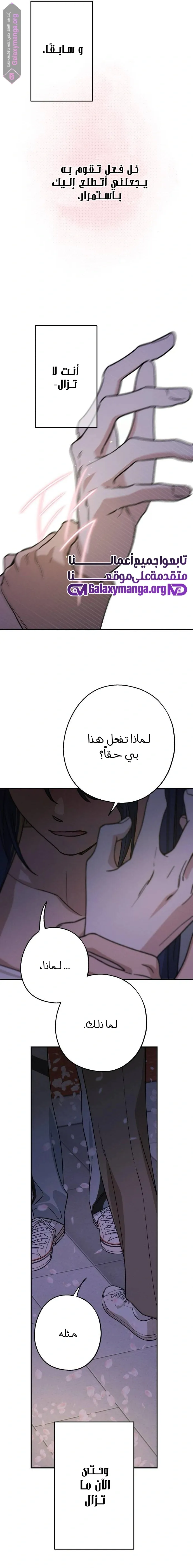 الصفحة 16