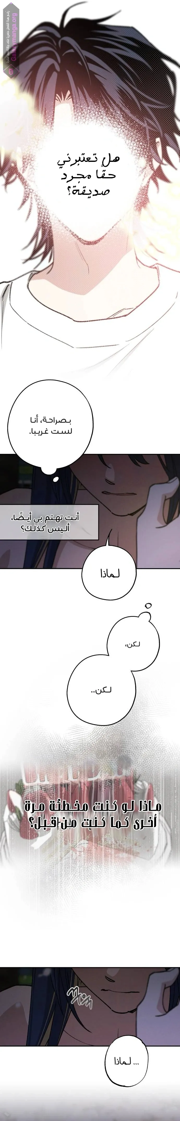الصفحة 17