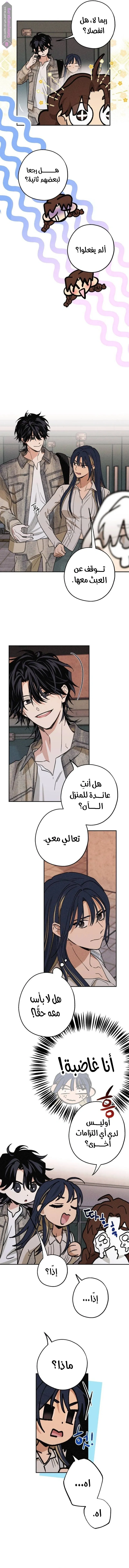 الصفحة 5