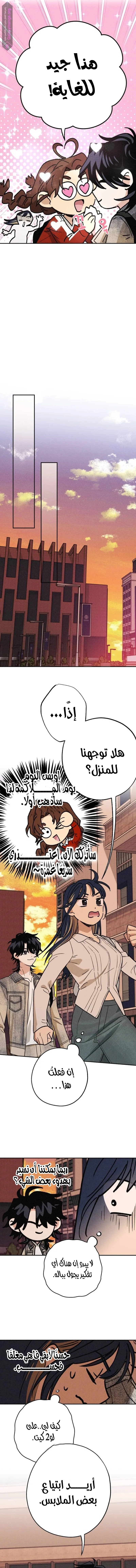 الصفحة 8
