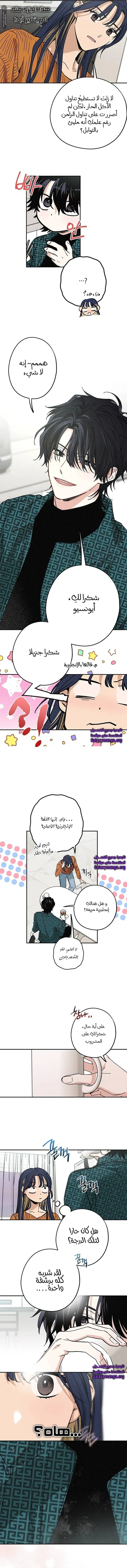 الصفحة 5