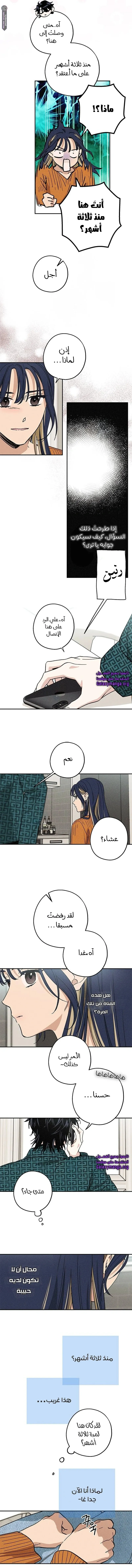 الصفحة 8