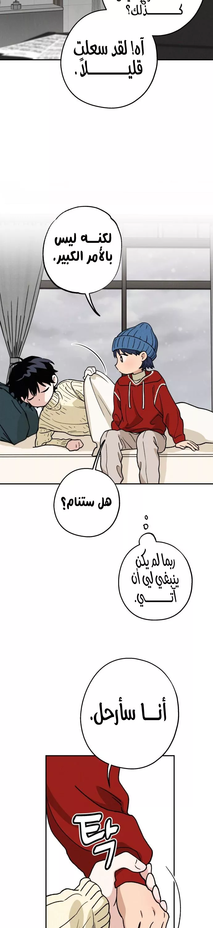 الصفحة 13