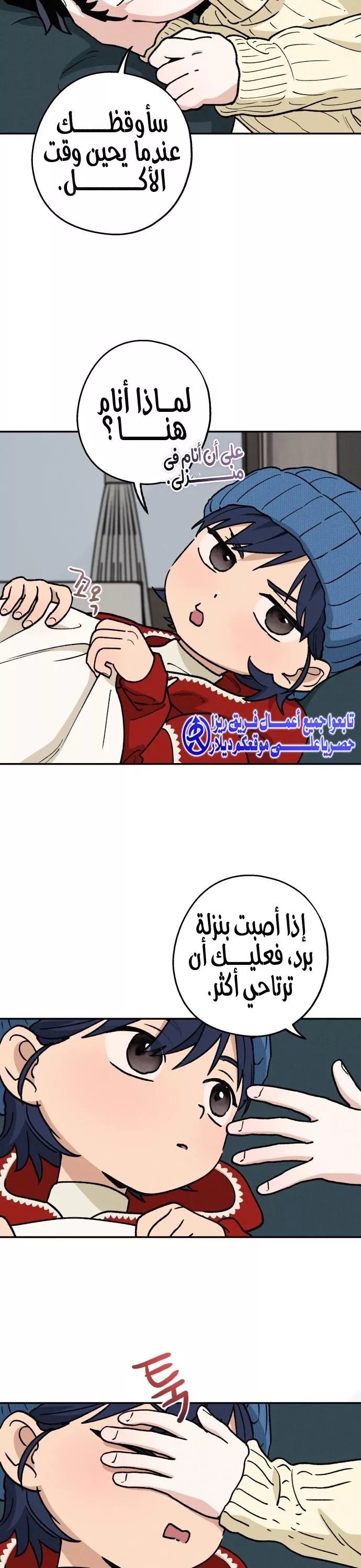الصفحة 17