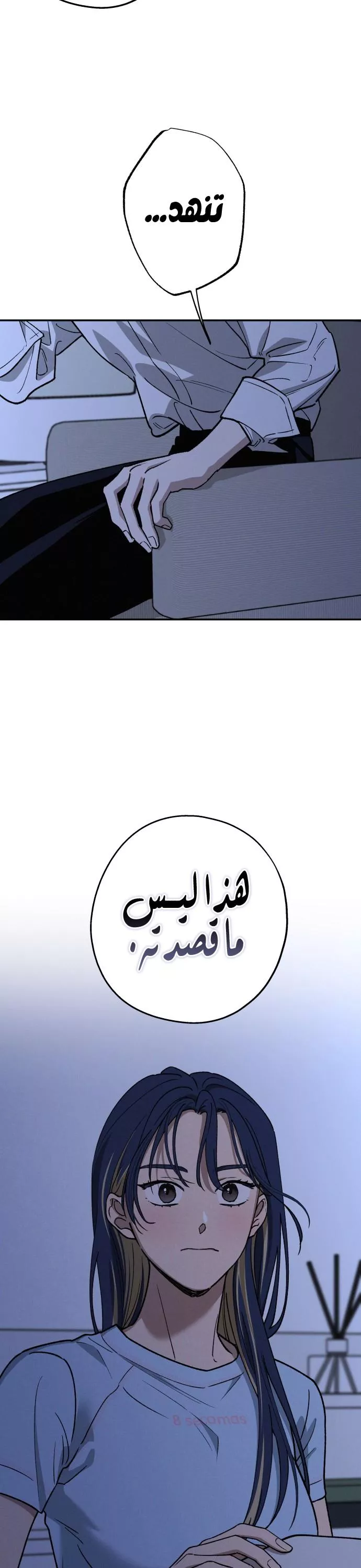 الصفحة 29