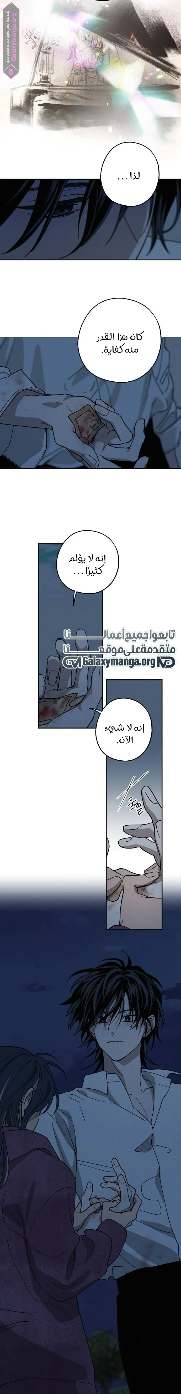 الصفحة 13