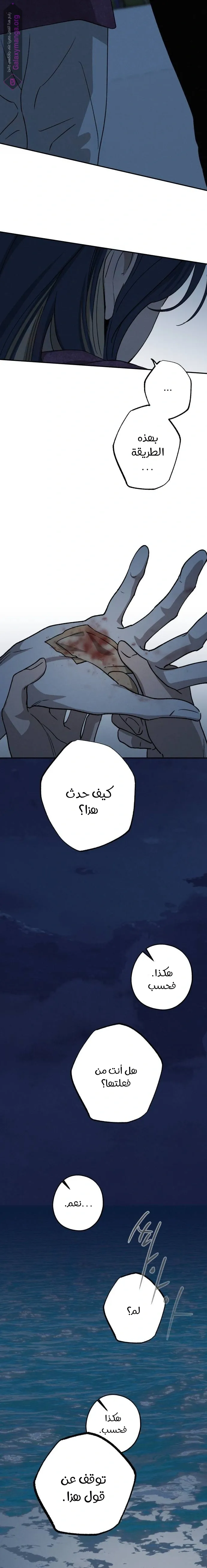 الصفحة 14