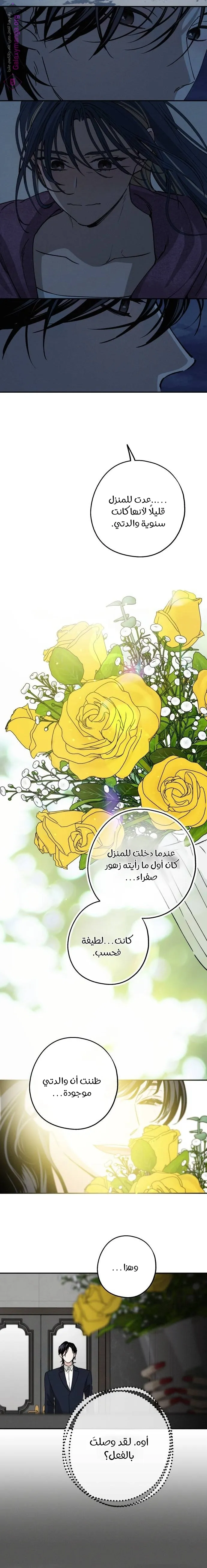 الصفحة 15