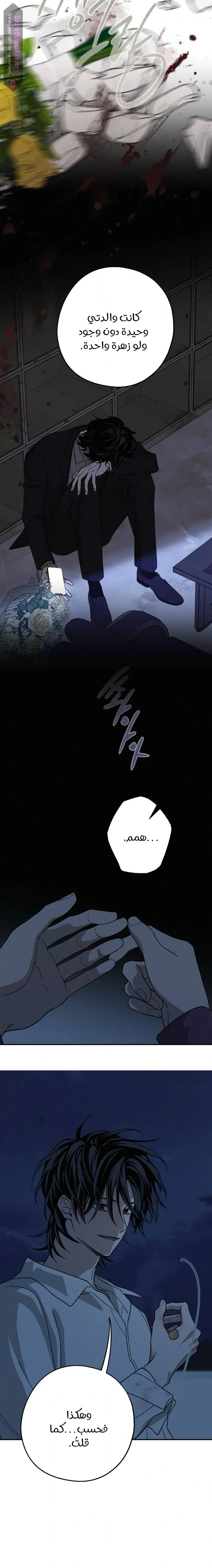 الصفحة 17
