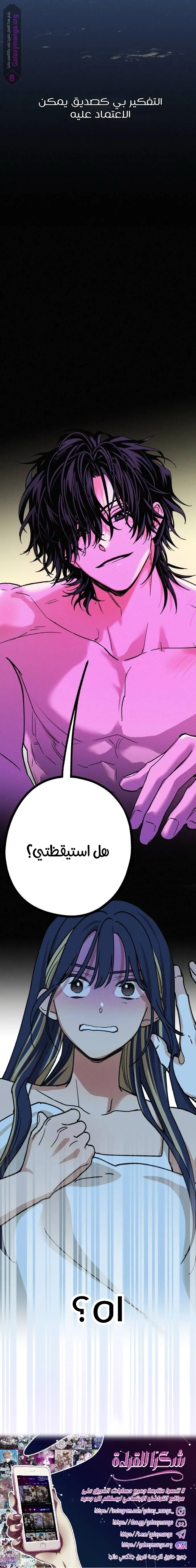 الصفحة 21