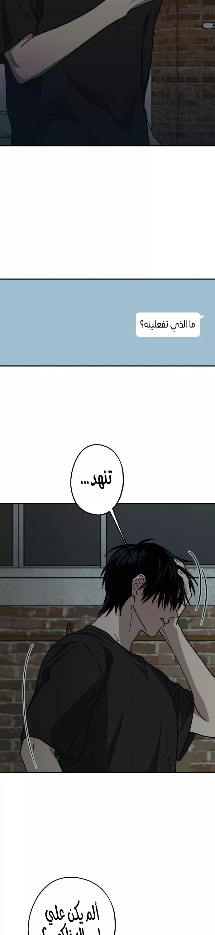 الصفحة 17