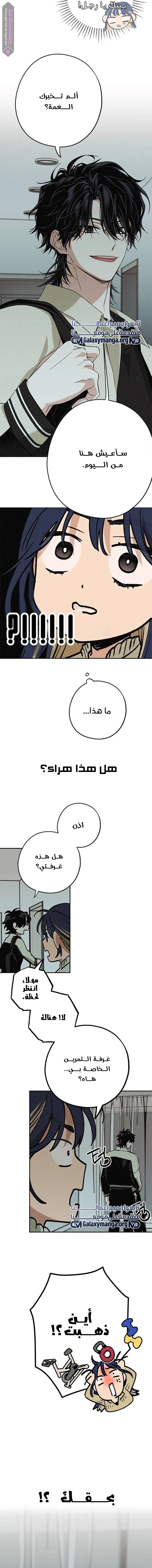 الصفحة 3