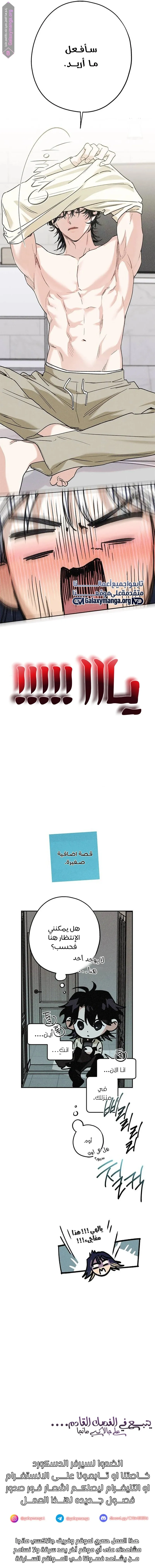 الصفحة 11