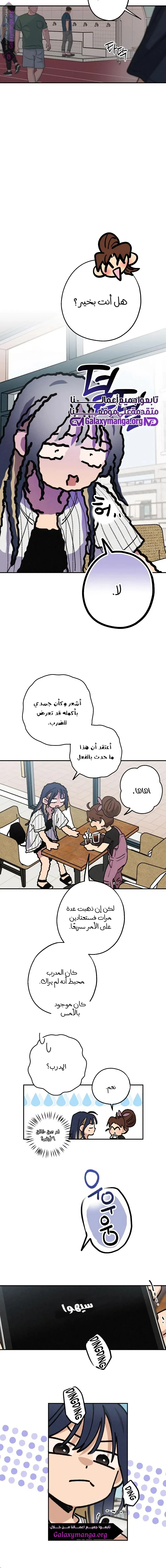 الصفحة 13