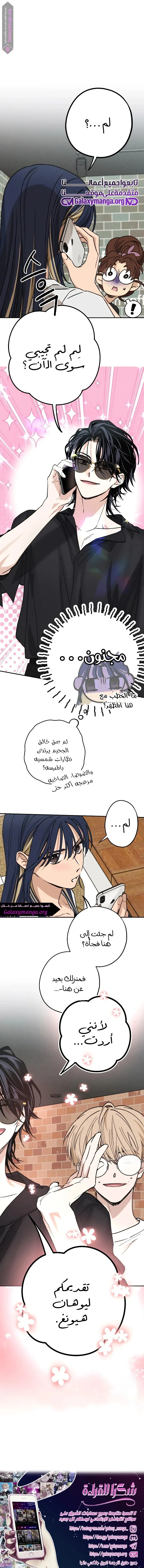 الصفحة 14