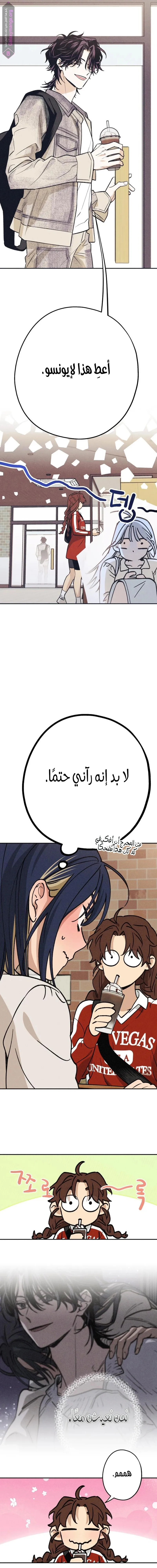 الصفحة 11