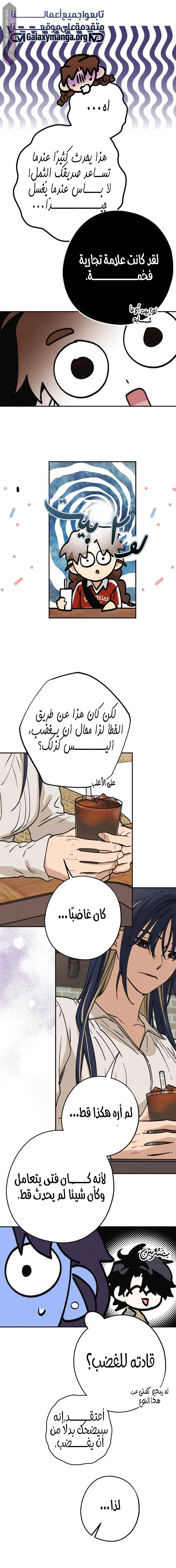 الصفحة 13