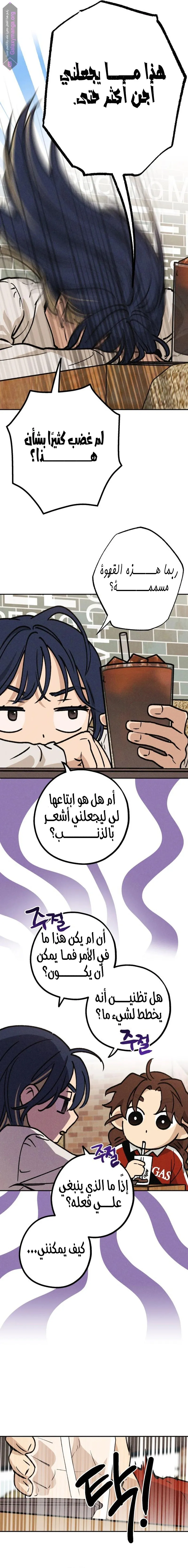 الصفحة 14