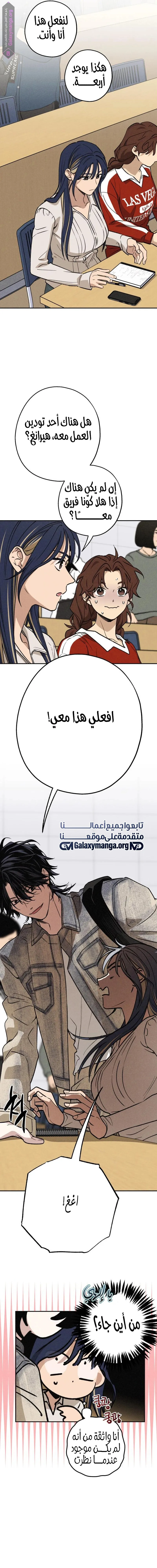الصفحة 17