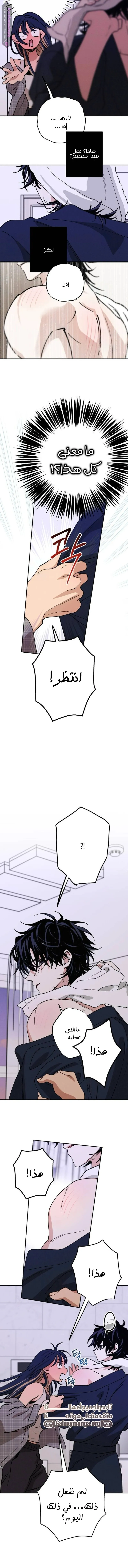 الصفحة 8