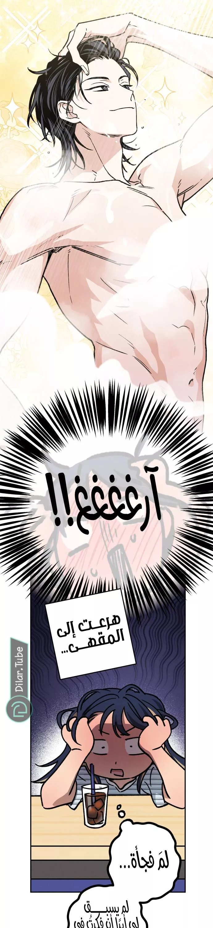 الصفحة 13