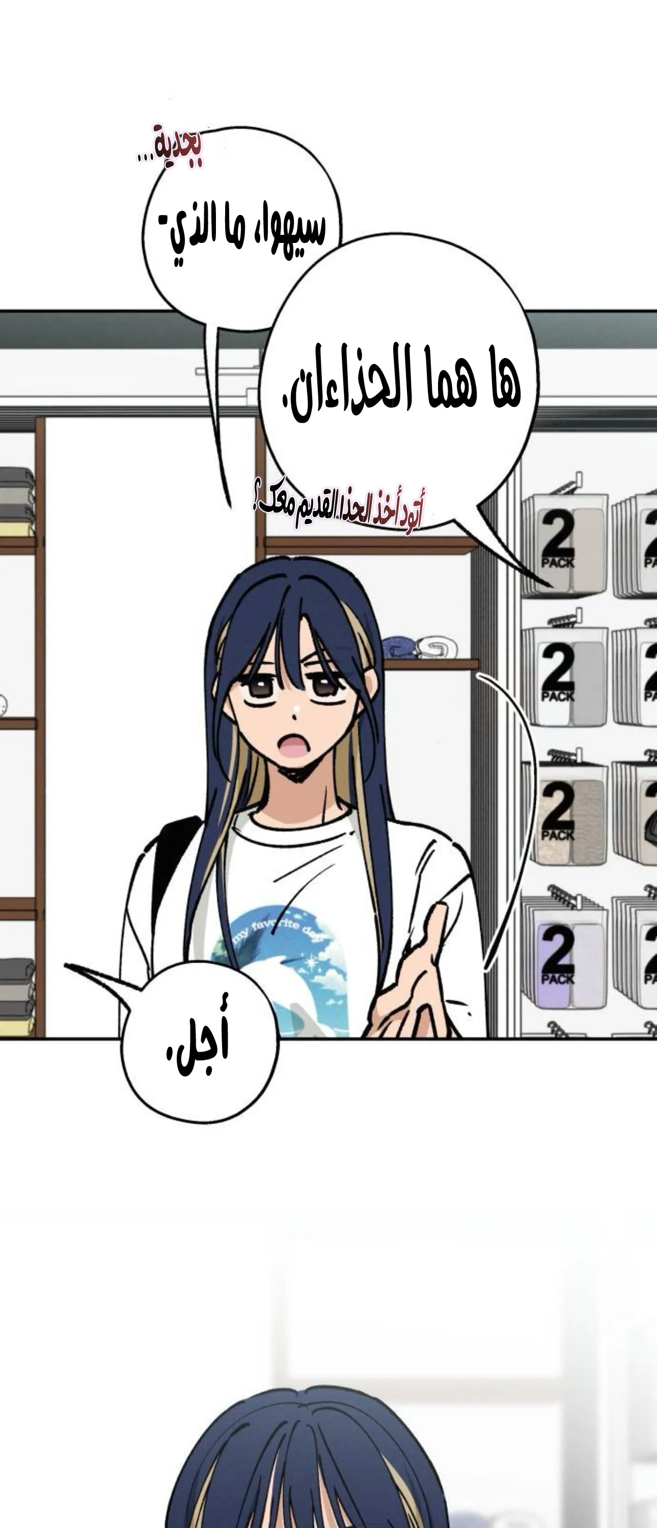 الصفحة 13