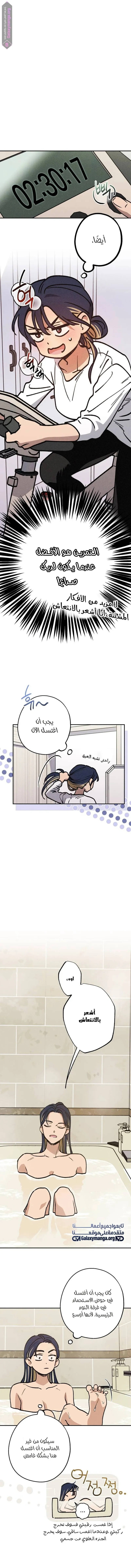 الصفحة 8
