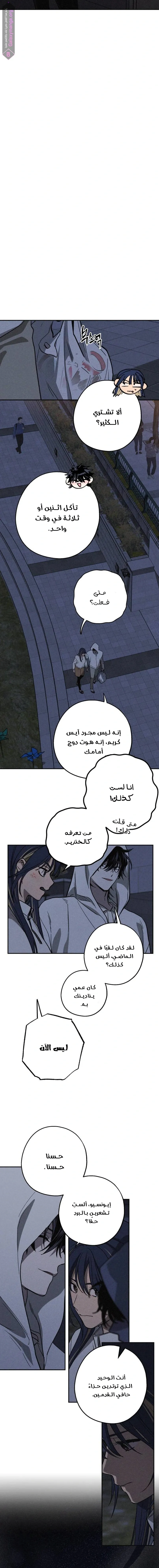 الصفحة 13