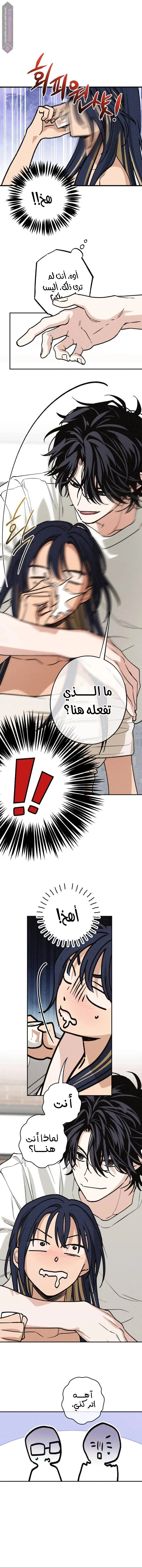 الصفحة 8