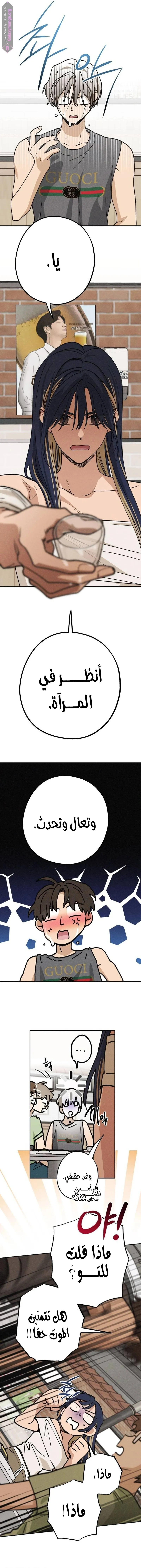 الصفحة 12