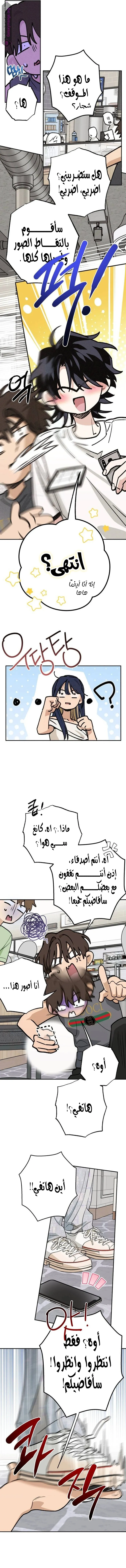 الصفحة 13
