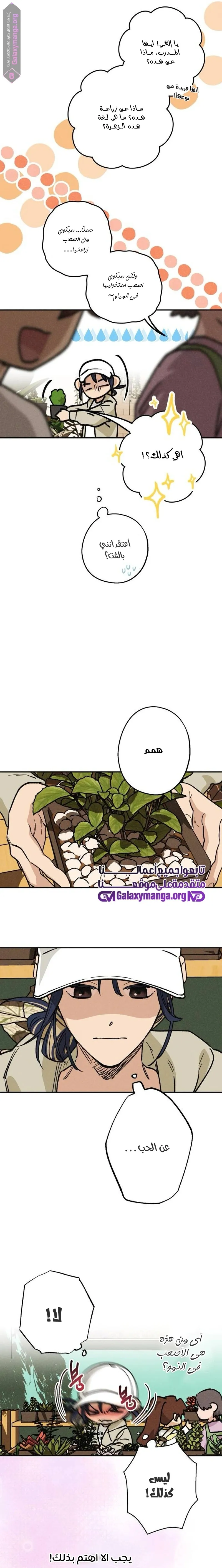 الصفحة 12
